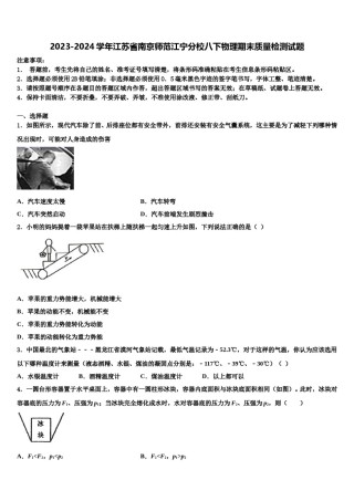 2023-2024学年江苏省南京师范江宁分校八下物理期末质量检测试题含解析.doc