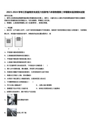 2023-2024学年江苏省南京玄武区六校联考八年级物理第二学期期末监测模拟试题含解析.doc