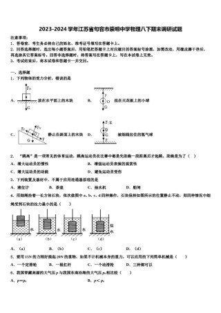 2023-2024学年江苏省句容市崇明中学物理八下期末调研试题含解析.doc