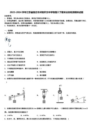 2023-2024学年江苏省宿迁市沭阳怀文中学物理八下期末达标检测模拟试题含解析.doc