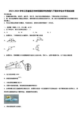 2023-2024学年江苏省宿迁市钟吾国际学校物理八下期末学业水平测试试题含解析.doc