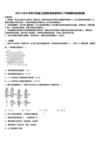 2023-2024学年江苏省工业园区青剑湖学校八下物理期末监测试题含解析.doc