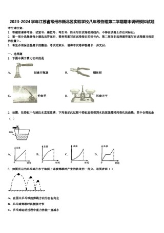 2023-2024学年江苏省常州市新北区实验学校八年级物理第二学期期末调研模拟试题含解析.doc
