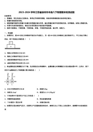 2023-2024学年江苏省徐州市丰县八下物理期末检测试题含解析.doc