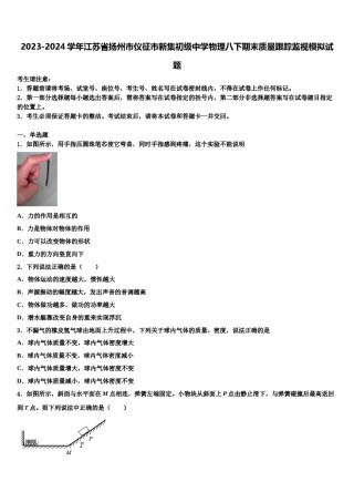 2023-2024学年江苏省扬州市仪征市新集初级中学物理八下期末质量跟踪监视模拟试题含解析.doc