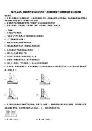 2023-2024学年江苏省扬州市名校八年级物理第二学期期末质量检测试题含解析.doc