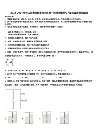 2023-2024学年江苏省扬州市大丰区第一共同体物理八下期末经典模拟试题含解析.doc