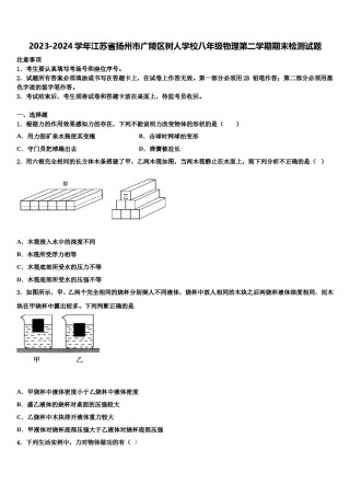 2023-2024学年江苏省扬州市广陵区树人学校八年级物理第二学期期末检测试题含解析.doc
