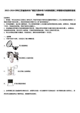2023-2024学年江苏省扬州市广陵区竹西中学八年级物理第二学期期末质量跟踪监视模拟试题含解析.doc