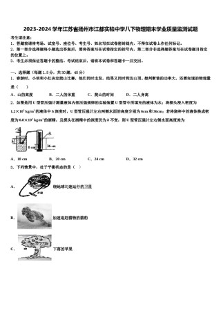 2023-2024学年江苏省扬州市江都实验中学八下物理期末学业质量监测试题含解析.doc