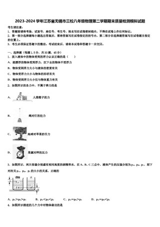 2023-2024学年江苏省无锡市三校八年级物理第二学期期末质量检测模拟试题含解析.doc