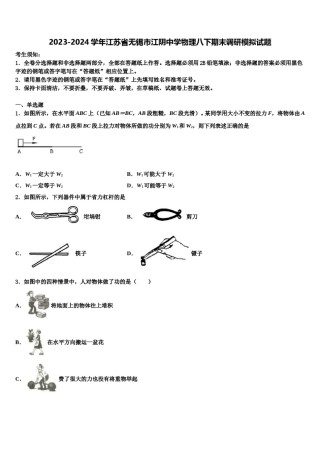 2023-2024学年江苏省无锡市江阴中学物理八下期末调研模拟试题含解析.doc