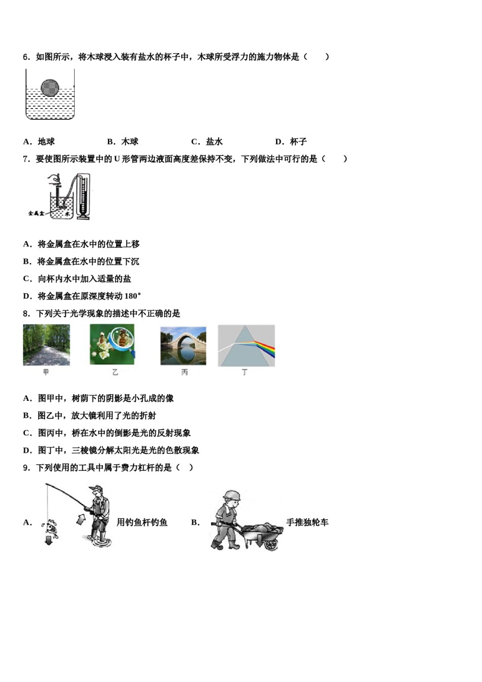 2023-2024学年江苏省泰州市周庄初级中学八年级物理第二学期期末质量跟踪监视模拟试题含解析.doc_第2页