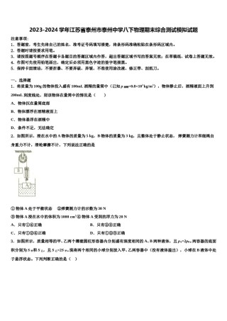 2023-2024学年江苏省泰州市泰州中学八下物理期末综合测试模拟试题含解析.doc
