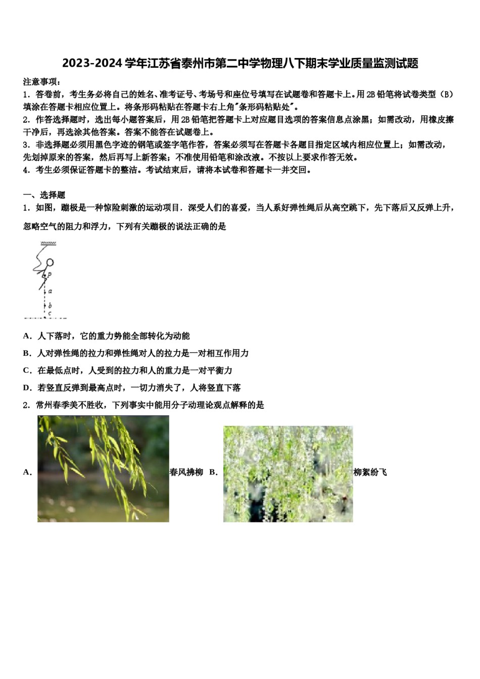 2023-2024学年江苏省泰州市第二中学物理八下期末学业质量监测试题含解析.doc_第1页