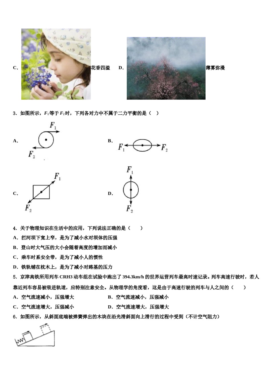 2023-2024学年江苏省泰州市第二中学物理八下期末学业质量监测试题含解析.doc_第2页