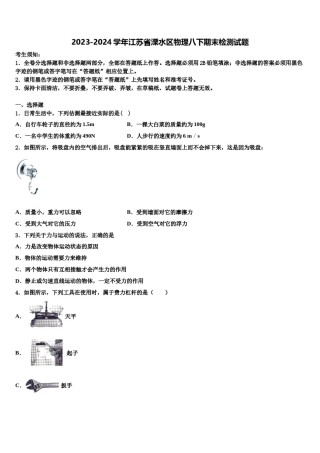 2023-2024学年江苏省溧水区物理八下期末检测试题含解析.doc