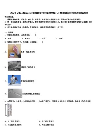 2023-2024学年江苏省盐城东台市实验中学八下物理期末综合测试模拟试题含解析.doc