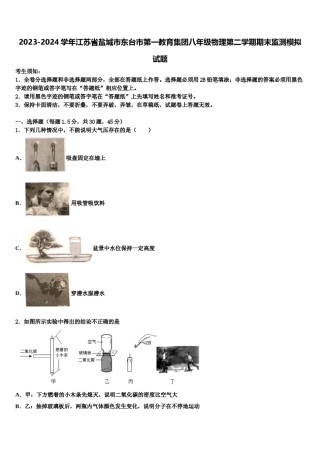 2023-2024学年江苏省盐城市东台市第一教育集团八年级物理第二学期期末监测模拟试题含解析.doc