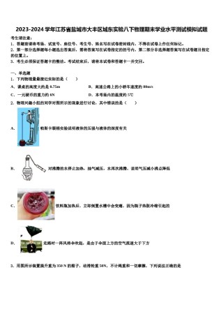 2023-2024学年江苏省盐城市大丰区城东实验八下物理期末学业水平测试模拟试题含解析.doc
