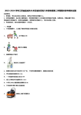 2023-2024学年江苏省盐城市大丰区城东实验八年级物理第二学期期末联考模拟试题含解析.doc