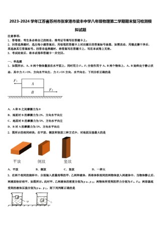 2023-2024学年江苏省苏州市张家港市梁丰中学八年级物理第二学期期末复习检测模拟试题含解析.doc