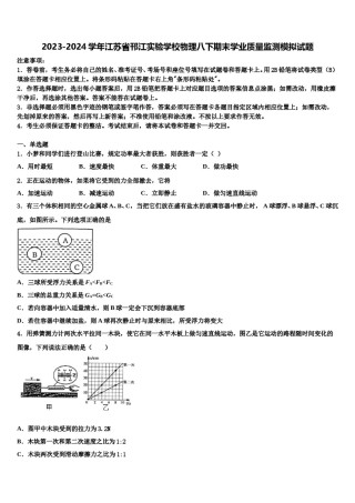 2023-2024学年江苏省邗江实验学校物理八下期末学业质量监测模拟试题含解析.doc