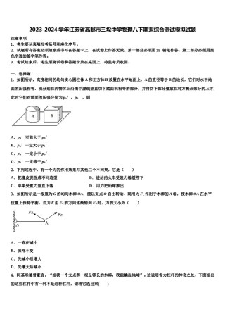 2023-2024学年江苏省高邮市三垛中学物理八下期末综合测试模拟试题含解析.doc