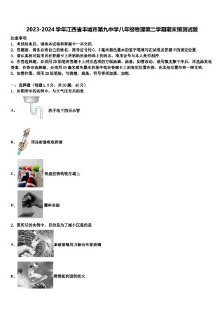 2023-2024学年江西省丰城市第九中学八年级物理第二学期期末预测试题含解析.doc