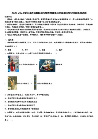 2023-2024学年江西省鄱阳县八年级物理第二学期期末学业质量监测试题含解析.doc
