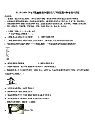 2023-2024学年河北省保定市博野县八下物理期末联考模拟试题含解析.doc
