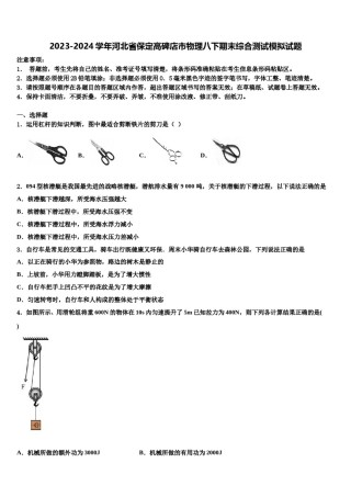 2023-2024学年河北省保定高碑店市物理八下期末综合测试模拟试题含解析.doc