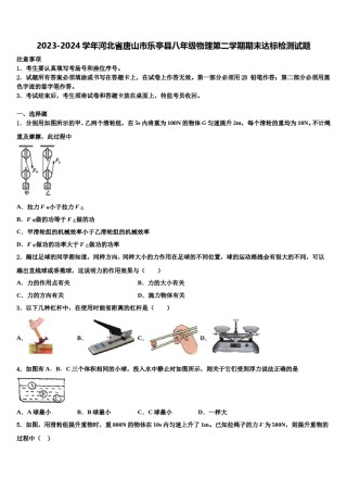 2023-2024学年河北省唐山市乐亭县八年级物理第二学期期末达标检测试题含解析.doc