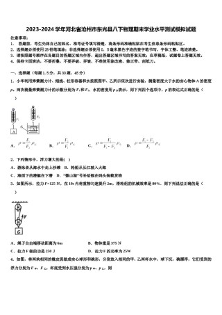 2023-2024学年河北省沧州市东光县八下物理期末学业水平测试模拟试题含解析.doc