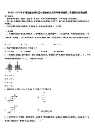 2023-2024学年河北省沧州市孟村回族自治县八年级物理第二学期期末经典试题含解析.doc
