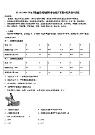 2023-2024学年河北省沧州青县联考物理八下期末经典模拟试题含解析.doc