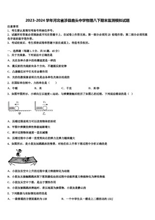 2023-2024学年河北省涉县鹿头中学物理八下期末监测模拟试题含解析.doc