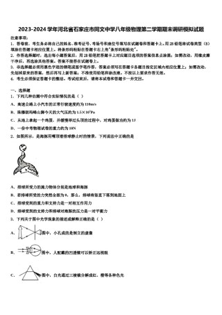 2023-2024学年河北省石家庄市同文中学八年级物理第二学期期末调研模拟试题含解析.doc