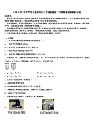 2023-2024学年河北省辛集市八年级物理第二学期期末联考模拟试题含解析.doc