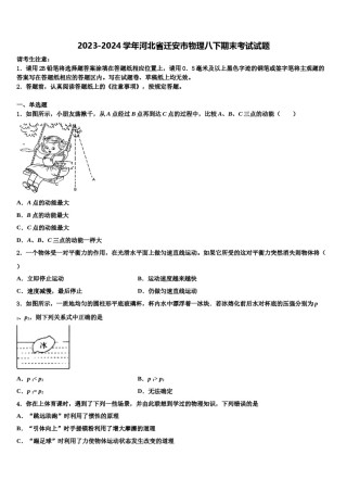 2023-2024学年河北省迁安市物理八下期末考试试题含解析.doc