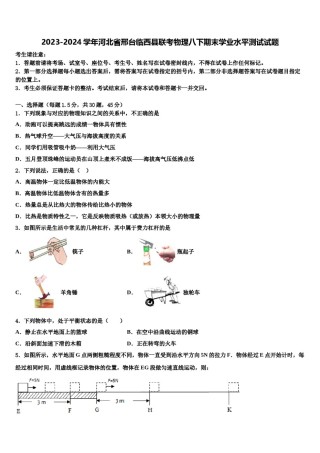 2023-2024学年河北省邢台临西县联考物理八下期末学业水平测试试题含解析.doc