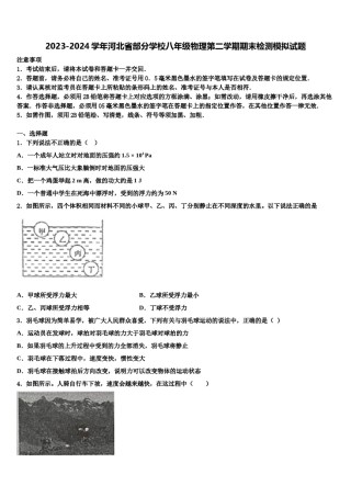 2023-2024学年河北省部分学校八年级物理第二学期期末检测模拟试题含解析.doc