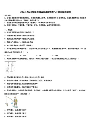 2023-2024学年河北省鸡泽县物理八下期末监测试题含解析.doc