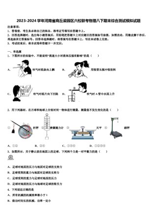 2023-2024学年河南省商丘梁园区六校联考物理八下期末综合测试模拟试题含解析.doc