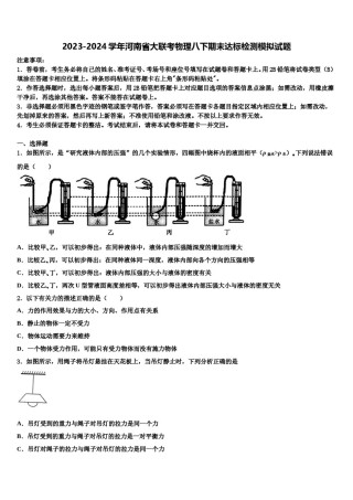 2023-2024学年河南省大联考物理八下期末达标检测模拟试题含解析.doc