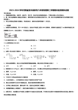 2023-2024学年河南省宝丰县联考八年级物理第二学期期末监测模拟试题含解析.doc