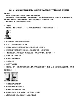 2023-2024学年河南省平顶山市第四十三中学物理八下期末综合测试试题含解析.doc