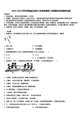 2023-2024学年河南省永城市八年级物理第二学期期末检测模拟试题含解析.doc