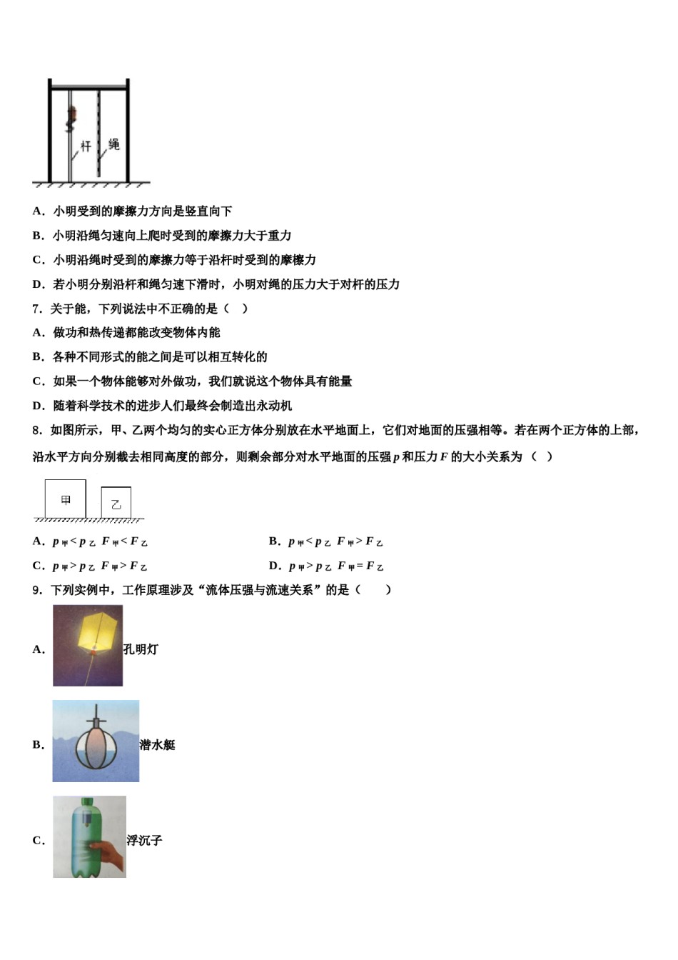 2023-2024学年河南省淮阳区羲城中学八年级物理第二学期期末调研试题含解析.doc_第2页