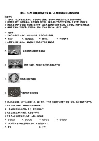 2023-2024学年河南省淮阳县八下物理期末调研模拟试题含解析.doc